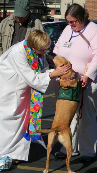 photo of pastor sue blessing a service dog