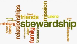 stewardship600wordle