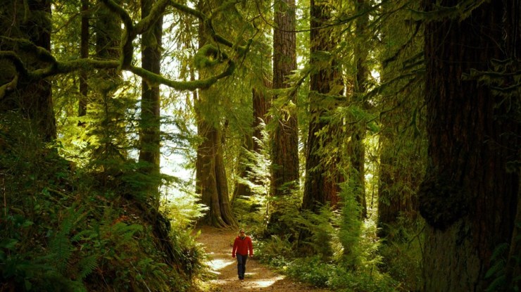 olympic-national-park